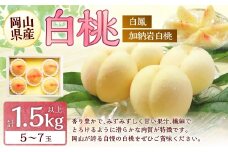 桃 2026年 先行予約 岡山 白桃 （品種：白鳳／加納岩白桃） 5～7玉 合計1.5kg以上 【2026年7月上旬～7月下旬 発送予定】 もも モモ 岡山県産 国産 フルーツ 果物 環山堂 くだもの お取り寄せ 贈り物 ギフト 国産