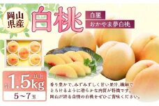 桃 2026年 先行予約 岡山 白桃 （品種：おかやま夢白桃／白麗） 5～7玉 合計1.5kg以上 【2026年7月下旬～8月上旬 発送予定】 もも モモ 岡山県産 国産 フルーツ 果物 環山堂 くだもの お取り寄せ 贈り物 ギフト 国産