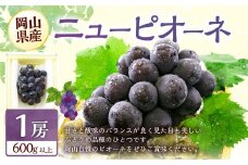 ぶどう 2026年 先行予約 ニュー ピオーネ 1房 600g以上 【2026年8月下旬～9月下旬 発送予定】 ブドウ 葡萄 岡山県産 国産 フルーツ 果物 ギフト 環山堂 くだもの お取り寄せ 贈り物 ギフト 国産