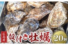 広島県産 草津かき(殻付き) 20個