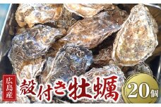 広島県産 草津かき(殻付き) 20個