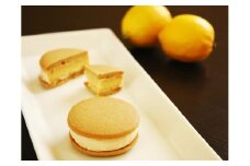 こだわりの味わいでシリーズ販売100万個超！広島レモンのサブレケーキ10個入