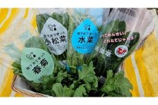 小松菜、水菜、ほうれんそう、春菊 各6束