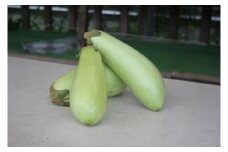 狩留家なす5本入(化粧箱入)
