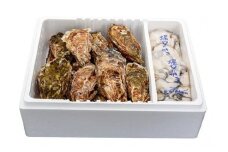 「堀口のかき」 生かきむき身と殻付きセット（むき身500g・殻付き8個）