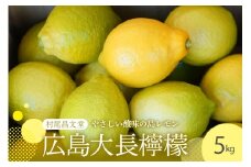 【2025年11月上旬～発送】国産檸檬（レモン）発祥の地　広島大長檸檬　5kg ku012-014-25