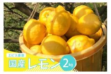 【2025年12月上旬～発送】【栽培期間中農薬不使用】有機JAS認証 皮まで美味しい！希少な国産オーガニックレモン 約2kg ku026-001-25