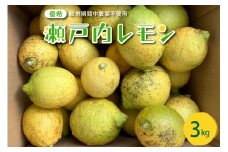 【2025年10月中旬～発送】大崎下島産 栽培期間中農薬不使用 瀬戸内レモン 3kg ku044-001-25