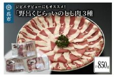 「野呂くじら」いのしし肉 3パックセット（計850g） 鍋用 牡丹肉 ぼたん鍋 いのしし汁 猪肉 ジビエ ロース うで もも 詰め合わせ 広島県 呉市