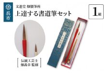 文進堂 畑製筆所 伝統工芸士監修  上達する書道筆セット 筆 書道 初心者 お子様向け 本物の筆 お取り寄せ 送料無料 広島県 呉市