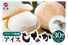アイスもなか30個セット
