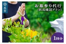お墓参り代行　状況確認プラン