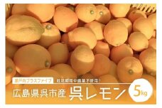 【2025年10月初旬～発送】広島県呉市産 呉レモン 約5kg ku098-002-25