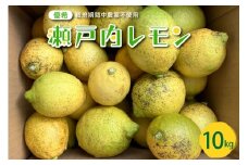 【2025年10月中旬～発送】大崎下島産 栽培期間中農薬不使用 瀬戸内レモン 10kg ku044-008-25