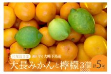 【2025年12月上旬～発送】広島 大長みかんと大長檸檬3個セット 5kg ku012-010-25