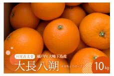 【2026年2月上旬～発送】瀬戸内 大崎下島産 大長八朔 10kg ku012-011-25