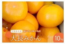 【2025年12月上旬～発送】広島県産 呉 大長みかん 10kg ku012-012-25