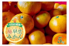【2025年9月下旬～発送】川田柑橘園 呉市大長産 「極早生みかん」5kg ku055-004-25