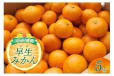 【2025年10月下旬～発送】川田柑橘園 広島大長産 「早生みかん」5kg ku055-005-25