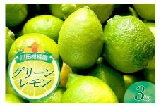 【2025年10月下旬～発送】川田柑橘園 広島県産 「グリーンレモン」3kg ku055-006-25