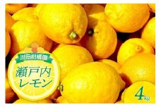 【2025年12月下旬～発送】川田柑橘園 広島県産 「瀬戸内レモン」4kg ku055-009-25