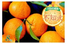 【2026年2月中旬～発送】川田柑橘園 呉市大長産 「不知火（しらぬい）」８kg ku055-013-25