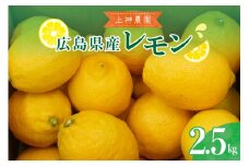 【2025年11月～発送】上神農園 の 広島県産 レモン 約2.5kg ku011-003-25