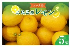 【2025年11月～発送】上神農園 の 広島県産 レモン 約5kg ku011-004-25