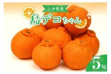 【2026年2月～発送】上神農園の島デコちゃん 約5kg ku011-005-25