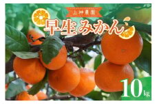 【2025年11月中旬～発送】上神農園の早生みかん 約10kg ku011-019-25