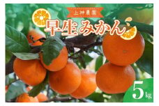 【2025年11月中旬～発送】上神農園の早生みかん 約5kg ku011-020-25