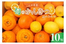 【2025年11月中旬～発送】上神農園 旬の柑橘詰め合わせ約10kg ku011-023-25