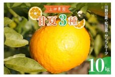 【2026年4月上旬～発送】上神農園の甘夏3種類詰め合わせ 約10kg ku011-024-25