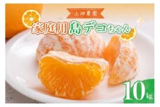 【2026年2月中旬～発送】家庭用島デコちゃん約10kg ku011-030-25
