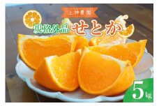 【2026年2月初旬～発送】【規格外品】上神農園 の 広島県産 せとか 約5kg ku011-031-25