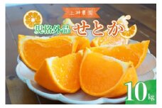 【2026年2月初旬～発送】【規格外品】上神農園 の 広島県産 せとか 約10kg ku011-032-25