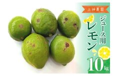 【2025年11月～発送】ジュース用 レモン 約10kg ku011-034-25