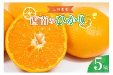 【2025年12月上旬～発送】上神農園の西南のひかり 約5kg ku011-036-25