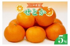 【2026年2月初旬～発送】上神農園 の 広島県産 せとか 約5kg ku011-009-25