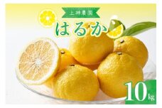【2026年2月下旬～発送】上神農園のはるか 約10kg ku011-012-25
