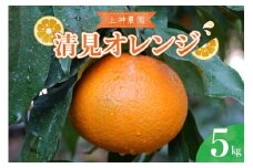 【2026年3月上旬～発送】上神農園の清見オレンジ 約5kg ku011-013-25