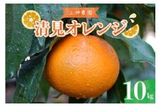 【2026年3月上旬～発送】上神農園の清見オレンジ 約10kg ku011-014-25
