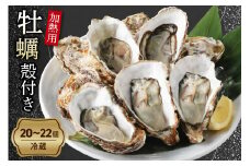 【先行受付】【2026年１月より発送】中島水産株式会社 加熱用 生牡蠣（殻付き）20～22個（軍手、ナイフ付き）　ku002-002-25
