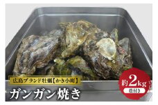 【先行受付】【2025年12月より発送】丸十水産 広島ブランド牡蠣 かき小町 ガンガン焼き 約2kg (10～14個) ku003-006-25
