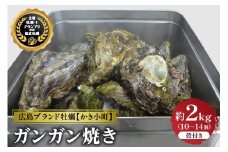 【先行受付】【2025年12月より発送】丸十水産 広島ブランド牡蠣 かき小町 ガンガン焼き 約2kg (10～14個) ku003-006-25