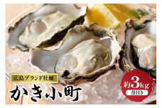 【先行受付】【2025年12月より発送】丸十水産 広島ブランド牡蠣 殻付き かき小町 約3kg (15～21個) ku003-007-25