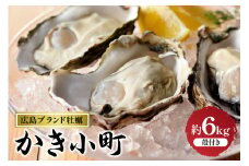 【先行受付】【2025年12月より発送】丸十水産 広島ブランド牡蠣 殻付き かき小町 約6kg (30～42個) ku003-008-25