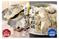 【先行受付】【2025年12月より発送】丸十水産 生牡蠣 特選むき身 400g 殻付き かき小町 約2kg (10～14個) セット ku003-003-25