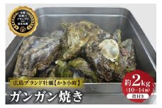 【先行受付】【2025年12月より発送】丸十水産 生牡蠣 特選むき身 400g 殻付き かき小町 約2kg (10～14個) セット ku003-003-25