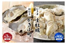 【先行受付】【2025年12月より発送】丸十水産 生牡蠣 特選むき身 800g 殻付き かき小町 約3kg (15～21個) セット ku003-004-25